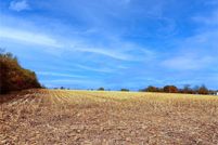 Land for sale in Warren County, Missouri