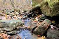 Land for sale in Madison County, Arkansas