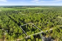 Land for sale in Levy County, Florida