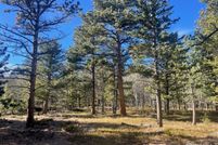 Undeveloped Land for sale in Boulder County, Colorado