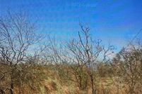 Undeveloped Land for sale in San Patricio County, Texas