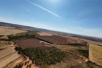 Land for sale in Taylor County, Texas