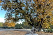 Land for sale in Calaveras County, California