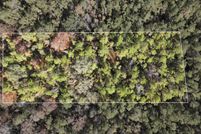 Land for sale in Greene County, Mississippi