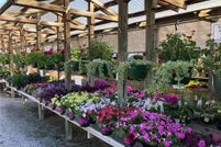 Land for sale in Carroll County, Arkansas