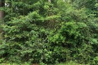 Land for sale in Montgomery County, Texas