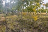 Undeveloped Land for sale in Park County, Colorado