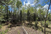 Homesite for sale in Park County, Colorado
