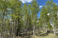 Homesite for sale in Park County, Colorado