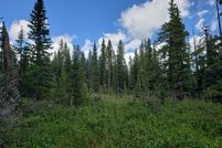 Homesite for sale in Park County, Colorado