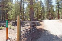 Undeveloped Land for sale in Park County, Colorado