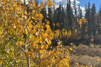 Land for sale in Park County, Colorado