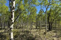 Homesite for sale in Park County, Colorado
