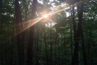 Land for sale in Jackson County, West Virginia