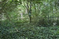 Land for sale in Rockdale County, Georgia