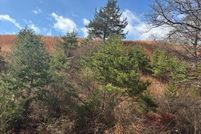 Land for sale in Hardy County, West Virginia