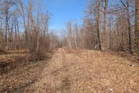 Undeveloped Land for sale in Cass County, Minnesota