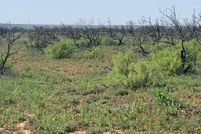 Land for sale in Potter County, Texas