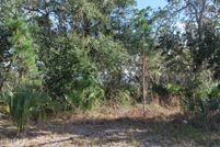 Undeveloped Land for sale in Volusia County, Florida