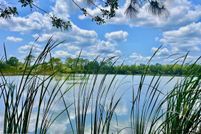 Farm and Ranch for sale in Brevard County, Florida