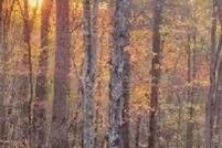 Land for sale in McDowell County, North Carolina