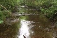 Lakefront Property for sale in Jefferson County, Kentucky