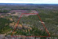 Land for sale in Mackinac County, Michigan