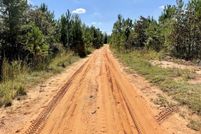 Land for sale in Clarke County, Alabama