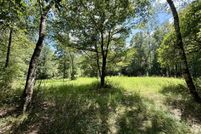 Farm and Ranch for sale in Washington County, Alabama