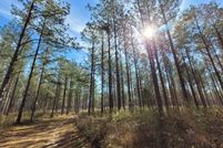 Land for sale in Lowndes County, Alabama