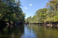 Undeveloped Land for sale in Williamsburg County, South Carolina