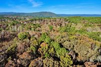Land for sale in Shelby County, Alabama
