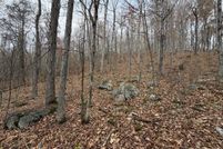 Undeveloped Land for sale in Bath County, Virginia