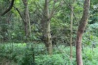 Undeveloped Land for sale in Knox County, Ohio