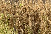 Land for sale in Fairfield County, Ohio