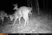 Land for sale in Muskingum County, Ohio