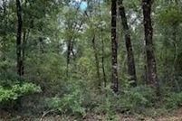 Undeveloped Land for sale in Walton County, Florida