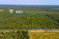 Undeveloped Land for sale in Walton County, Florida