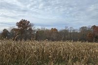 Undeveloped Land for sale in Washington County, Indiana