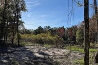Undeveloped Land for sale in Marion County, Florida