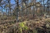 Undeveloped Land for sale in Potter County, Pennsylvania