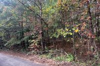 Land for sale in Fannin County, Georgia