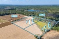 Land for sale in Covington County, Alabama