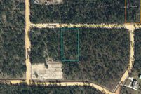 Undeveloped Land for sale in Jackson County, Florida