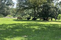 Undeveloped Land for sale in Santa Rosa County, Florida