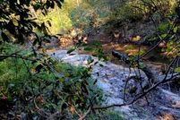 Land for sale in Walton County, Florida