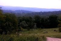 Farm and Ranch for sale in Garrett County, Maryland