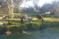 Land for sale in San Diego County, California