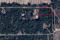 Undeveloped Land for sale in Levy County, Florida