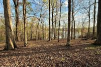 Undeveloped Land for sale in Hawkins County, Tennessee